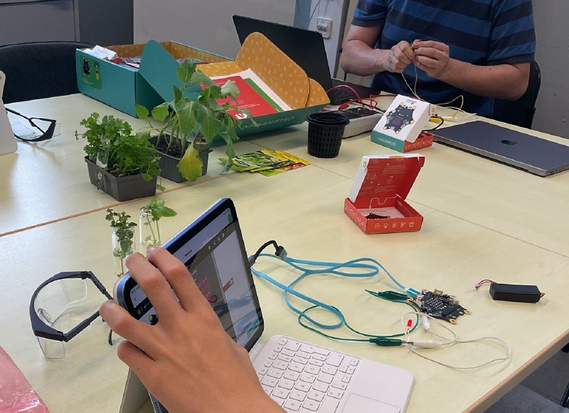 Calliope mini, Sensorik und Setzlinge